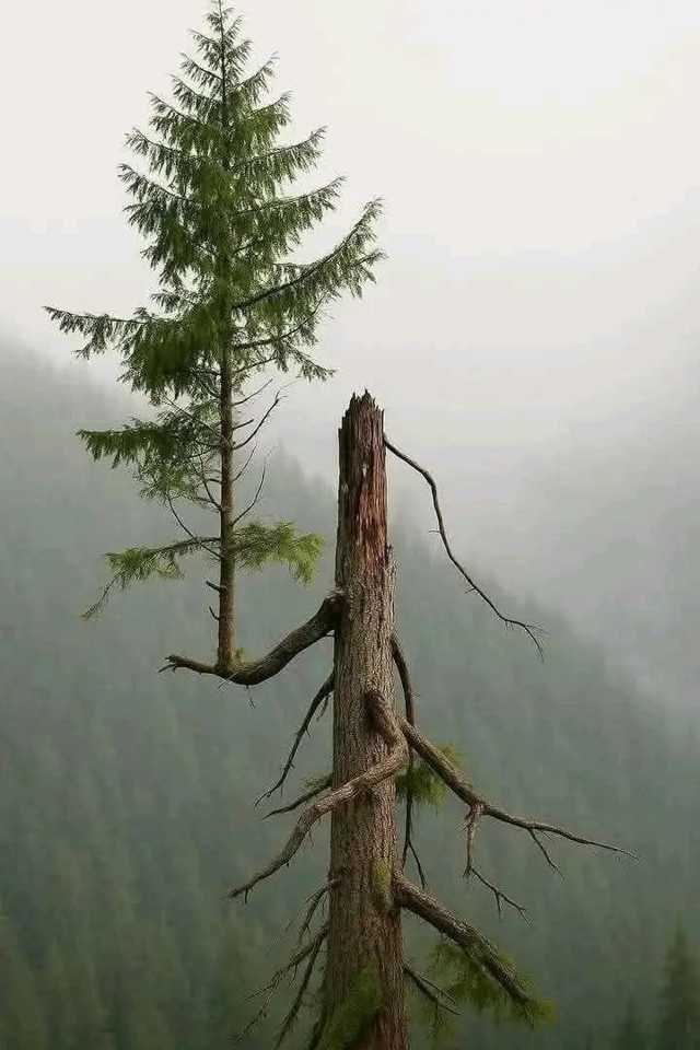 Événementiel entreprise au Maroc